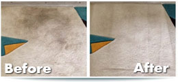 professional-house-cleaners